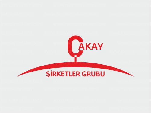 Profesyonel Logo Tasarımı